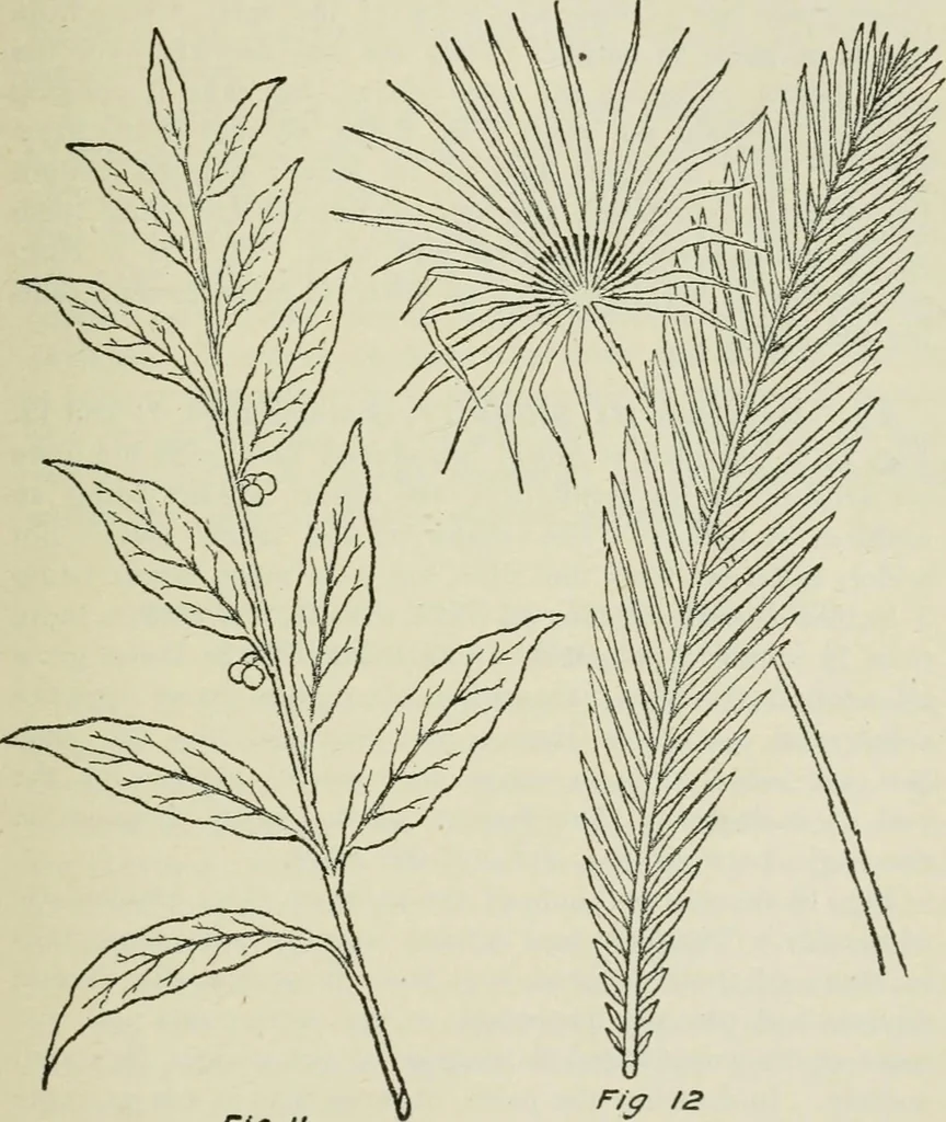 An illustration from Geometrical drawing, projection drawing, freehand and ornamental drawing, wash work and brush drawing, elementary perspective drawing, architectural drawing, 1921, leaf 212
