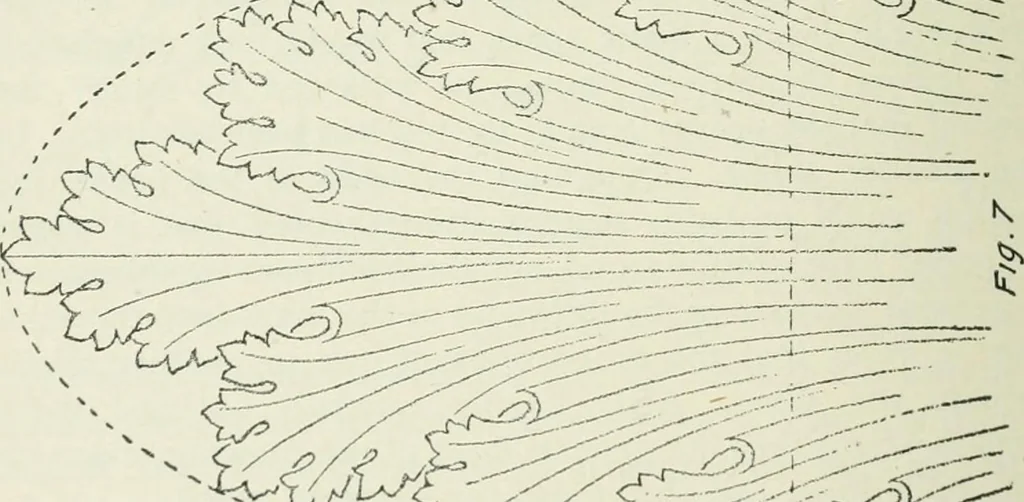 An illustration from Geometrical drawing, projection drawing, freehand and ornamental drawing, wash work and brush drawing, elementary perspective drawing, architectural drawing, 1921, leaf 223