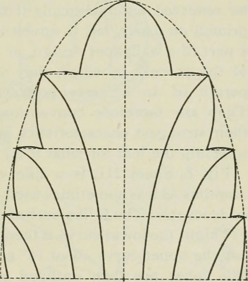 An illustration from Geometrical drawing, projection drawing, freehand and ornamental drawing, wash work and brush drawing, elementary perspective drawing, architectural drawing, 1921, leaf 224