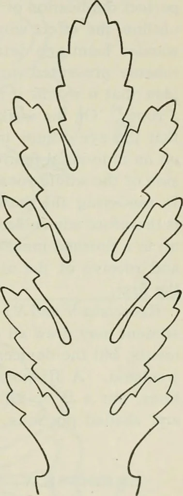 An illustration from Geometrical drawing, projection drawing, freehand and ornamental drawing, wash work and brush drawing, elementary perspective drawing, architectural drawing, 1921, leaf 228