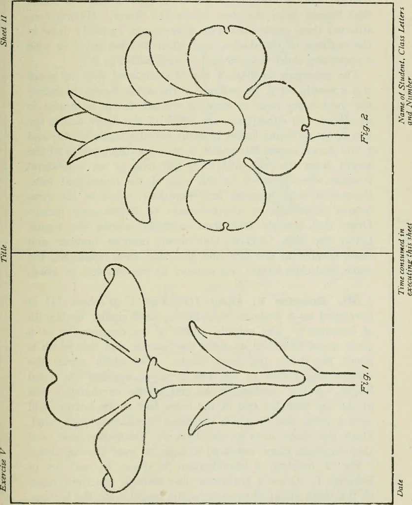 An illustration from Geometrical drawing, projection drawing, freehand and ornamental drawing, wash work and brush drawing, elementary perspective drawing, architectural drawing, 1921, leaf 232
