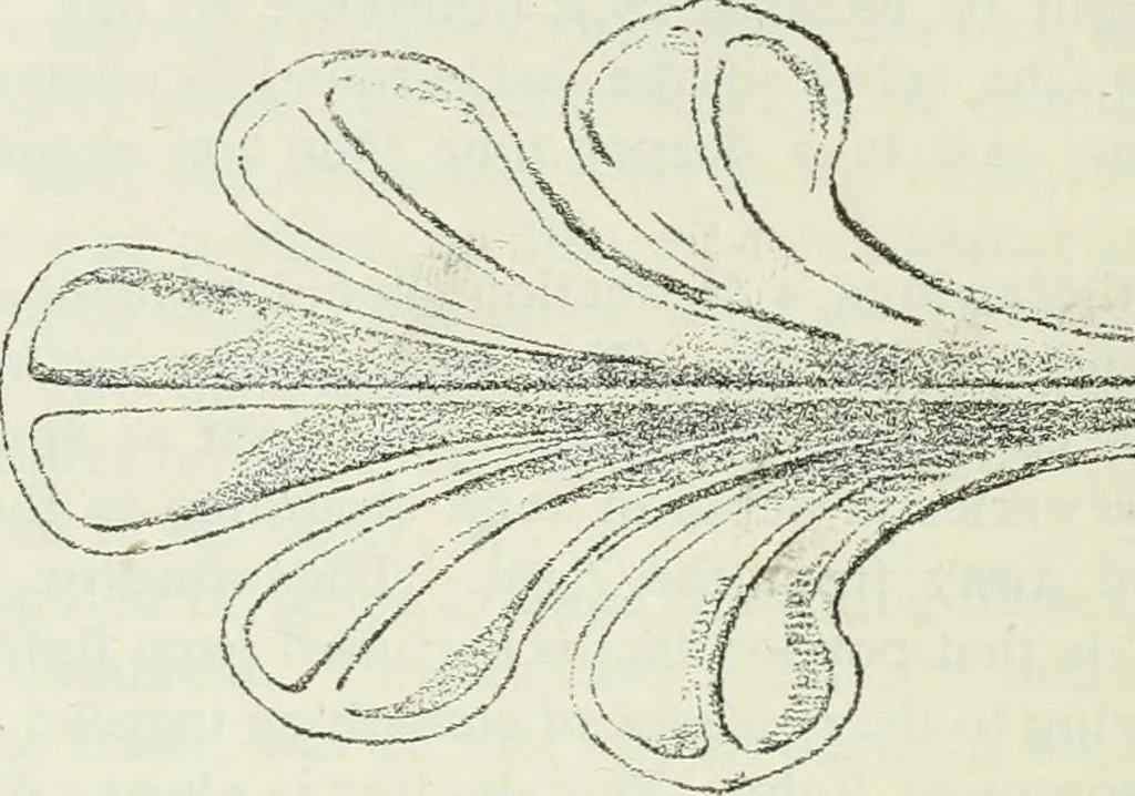 An illustration from Geometrical drawing, projection drawing, freehand and ornamental drawing, wash work and brush drawing, elementary perspective drawing, architectural drawing, 1921, leaf 239