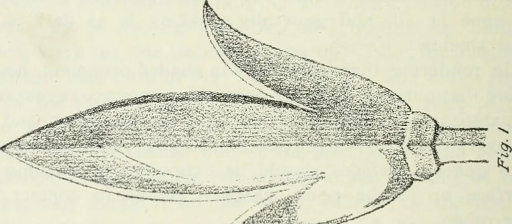 An illustration from Geometrical drawing, projection drawing, freehand and ornamental drawing, wash work and brush drawing, elementary perspective drawing, architectural drawing, 1921, leaf 239