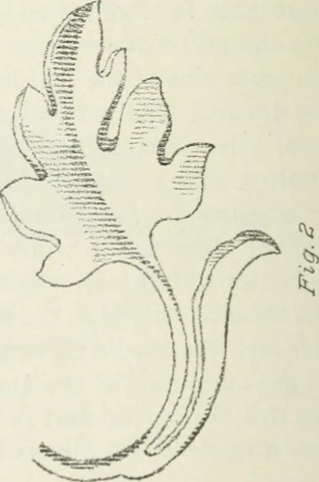 An illustration from Geometrical drawing, projection drawing, freehand and ornamental drawing, wash work and brush drawing, elementary perspective drawing, architectural drawing, 1921, leaf 241