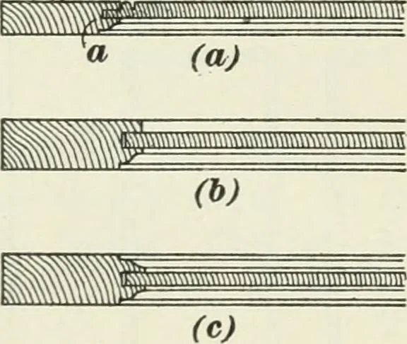 An illustration from Geometrical drawing, projection drawing, freehand and ornamental drawing, wash work and brush drawing, elementary perspective drawing, architectural drawing, 1921, leaf 533
