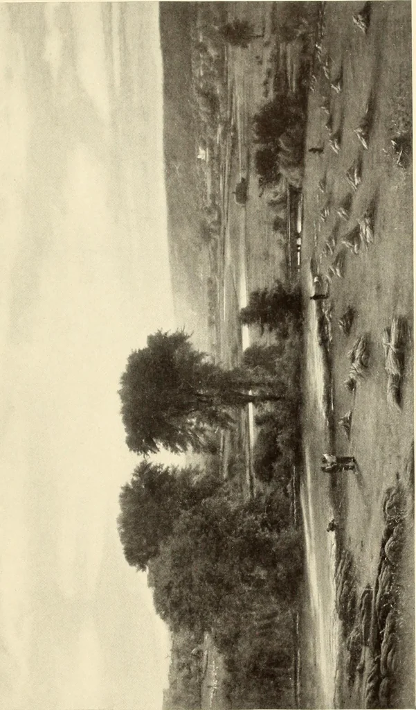 An illustration from George A. Hearn gift to the Metropolitan Museum of Art in the city of New York and Arthur Hoppock Hearn memorial fund, 1913, leaf 128