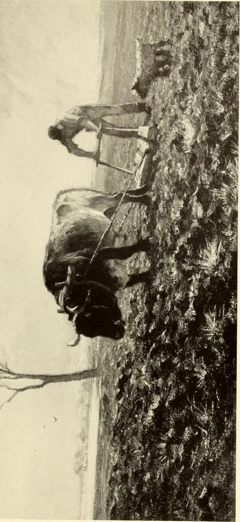 An illustration from George A. Hearn gift to the Metropolitan Museum of Art in the city of New York and Arthur Hoppock Hearn memorial fund, 1913, leaf 242