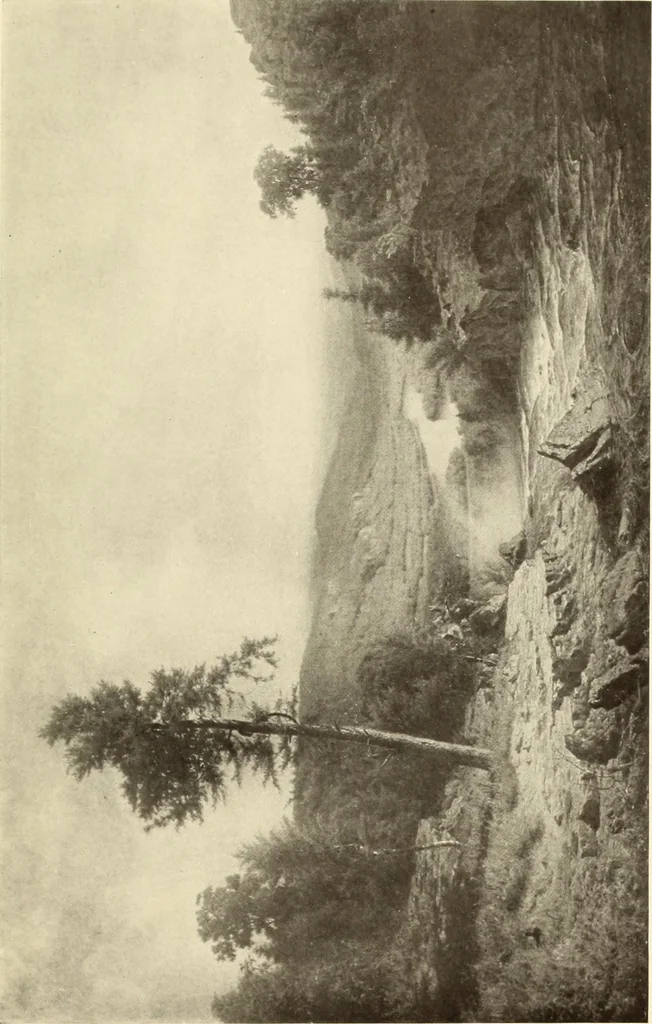 An illustration from George A. Hearn gift to the Metropolitan Museum of Art in the city of New York and Arthur Hoppock Hearn memorial fund, 1913, leaf 244