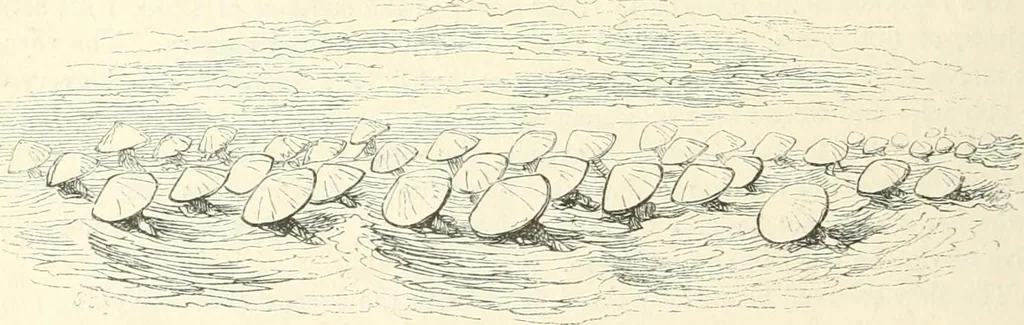 An illustration from George Cruikshank's Table-book, 1845, leaf 122