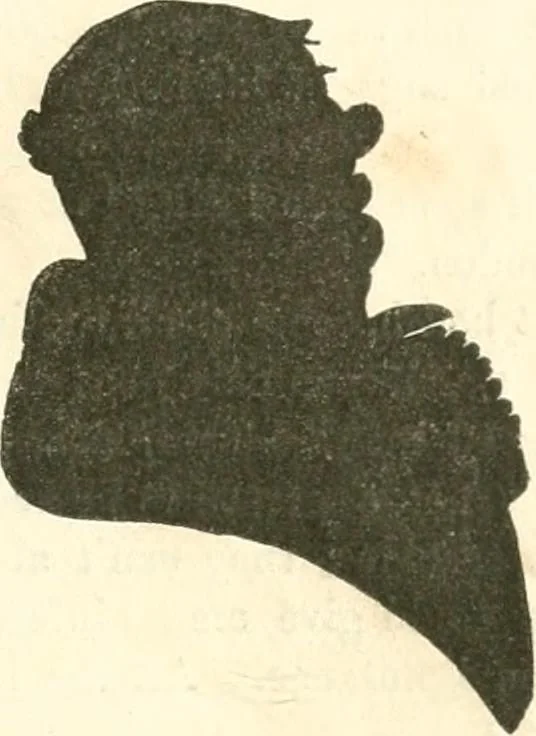 An illustration from George Cruikshank's Table-book, 1845, leaf 275