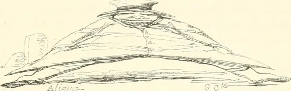 An illustration from George Cruikshank's Table-book, 1845, leaf 85