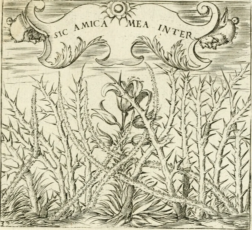An illustration from Georgiae Montaneae, nobilis Gallae, Emblematvm Christianorvm centvria : cum eorundem Latina interpretatione = Cent emblemes chrestiens, 1584, leaf 174