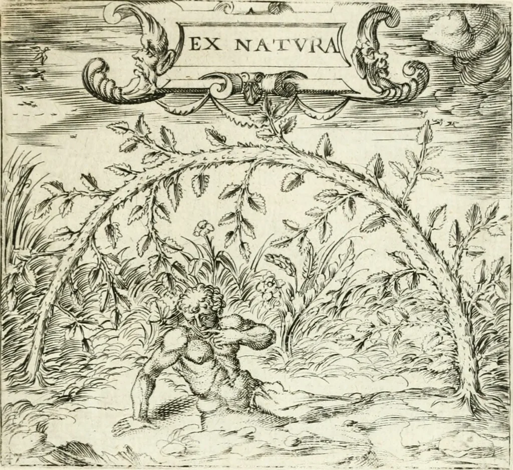 An illustration from Georgiae Montaneae, nobilis Gallae, Emblematvm Christianorvm centvria : cum eorundem Latina interpretatione = Cent emblemes chrestiens, 1584, leaf 206