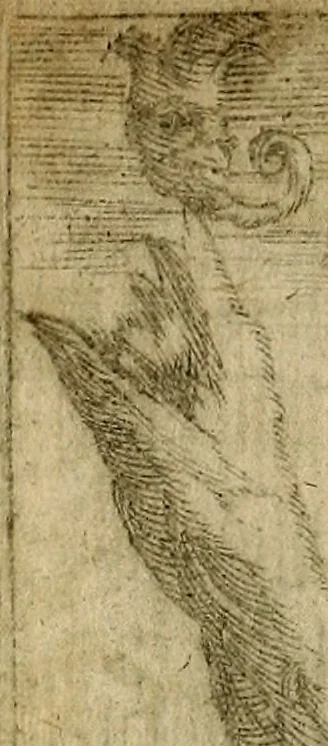 An illustration from Georgiae Montaneae, nobilis Gallae, Emblematum christianorum centuria : cum eorundem latina interpretatione = Cent emblemes chrestiens, 1584, leaf 165