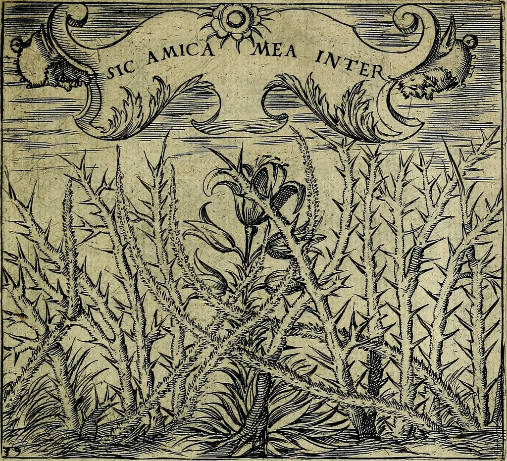 An illustration from Georgiae Montaneae, nobilis Gallae, Emblematum christianorum centuria : cum eorundem latina interpretatione = Cent emblemes chrestiens, 1584, leaf 92