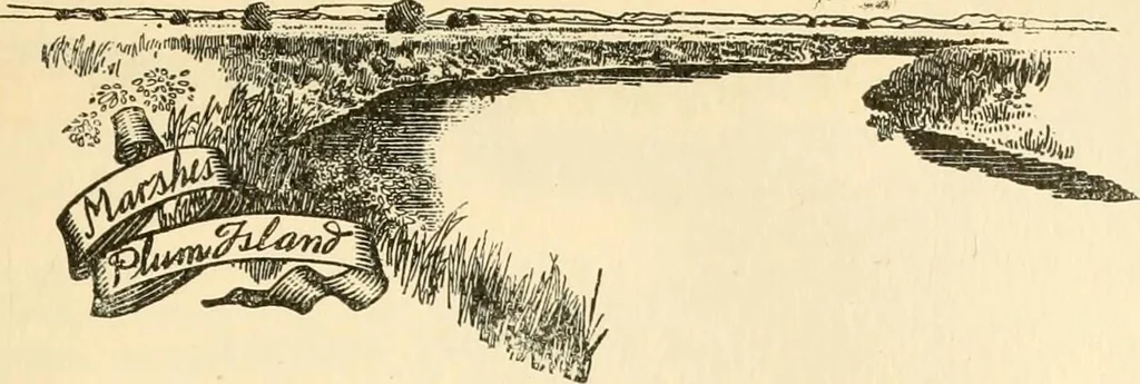 An illustration from Georgian : a pattern of spoons, forks and all other pieces of table flat ware is partly shown in this book, in which is also given an account of the chief events of the War of the Revolution and the acts of oppression which preceded and provoked it ; to which are added sundry pictures of places and things identified with this momentous conflict ..., 1899, leaf 105