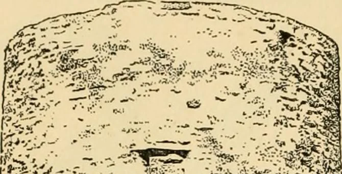 An illustration from Georgian : a pattern of spoons, forks and all other pieces of table flat ware is partly shown in this book, in which is also given an account of the chief events of the War of the Revolution and the acts of oppression which preceded and provoked it ; to which are added sundry pictures of places and things identified with this momentous conflict ..., 1899, leaf 20
