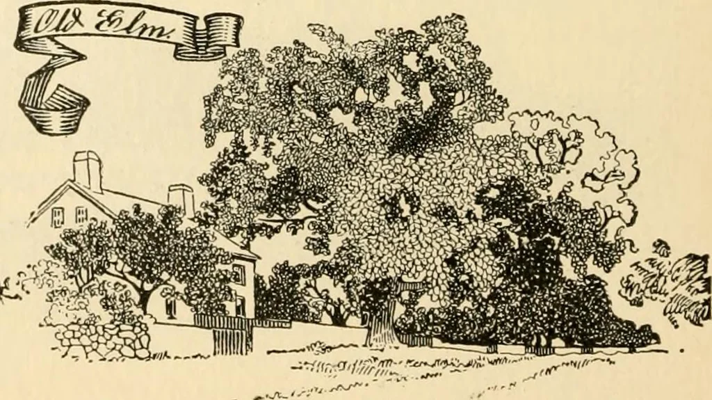 An illustration from Georgian : a pattern of spoons, forks and all other pieces of table flat ware is partly shown in this book, in which is also given an account of the chief events of the War of the Revolution and the acts of oppression which preceded and provoked it ; to which are added sundry pictures of places and things identified with this momentous conflict ..., 1899, leaf 76
