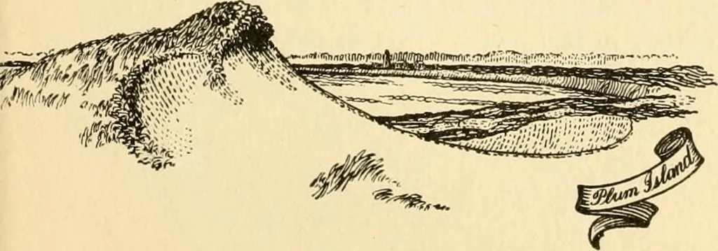 An illustration from Georgian : a pattern of spoons, forks and all other pieces of table flat ware is partly shown in this book, in which is also given an account of the chief events of the War of the Revolution and the acts of oppression which preceded and provoked it ; to which are added sundry pictures of places and things identified with this momentous conflict ..., 1899, leaf 79