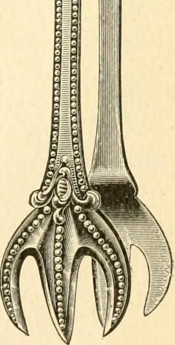 An illustration from Georgian : a pattern of spoons, forks and all other pieces of table flat ware is partly shown in this book, in which is also given an account of the chief events of the War of the Revolution and the acts of oppression which preceded and provoked it ; to which are added sundry pictures of places and things identified with this momentous conflict ..., 1899, leaf 87
