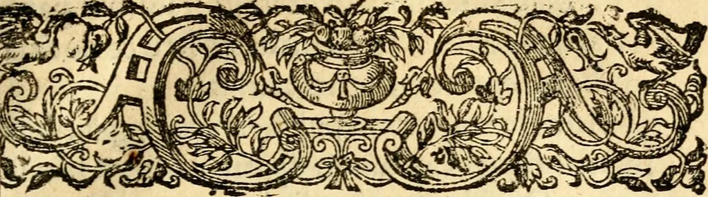 An illustration from Georgi Horni De originibvs americanis libri qvatvor, 1652, leaf 26