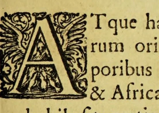 An illustration from Georgi Horni De originibus Americanis libri quatuor, 1652, leaf 157