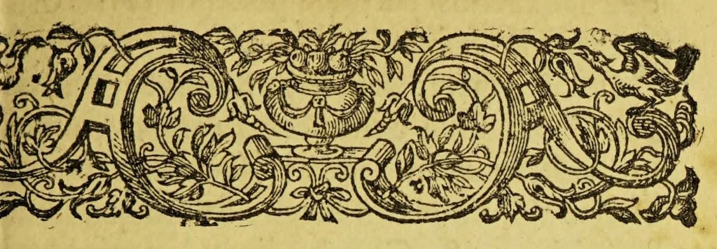 An illustration from Georgi Horni De originibus Americanis libri quatuor, 1652, leaf 87