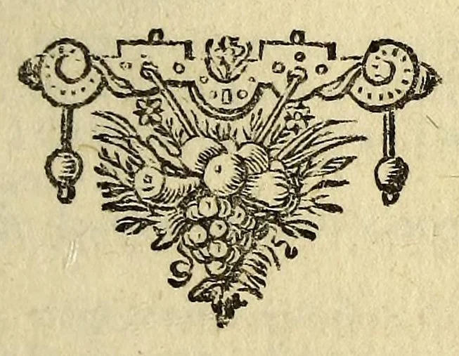 An illustration from Georgi Horni Orbis imperans, 1668, leaf 343