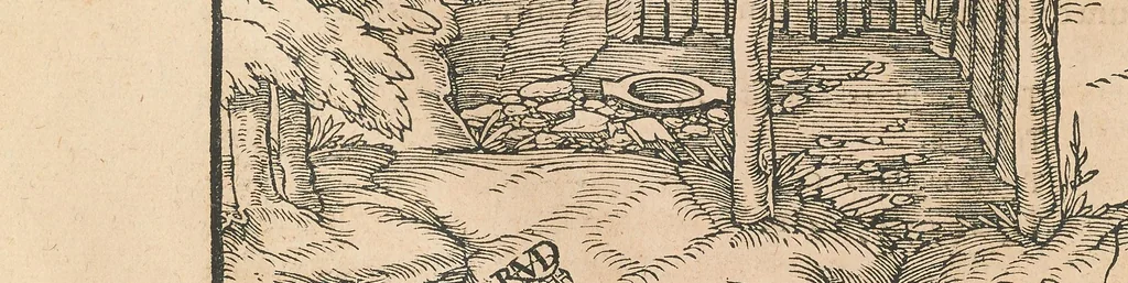 An illustration from Georgii Agricolae De re metallica libri XII quibus officia, instrumenta, machinae, ac omnia deni[que] ad metallicam spectantia, non modo luculentissimè describuntur, sed & per effigies, suis locis insertas, adiunctis latinis, germanicis[que] appellationibus ita ob oculos ponuntur, ut clarius tradi non possint : eiusdem de animantibus subterraneis liber, ab autore recognitus, cum indicibus diuersis, quicquid in opere tractatum est, pulchrè demonstrantibus, 1556, leaf 100