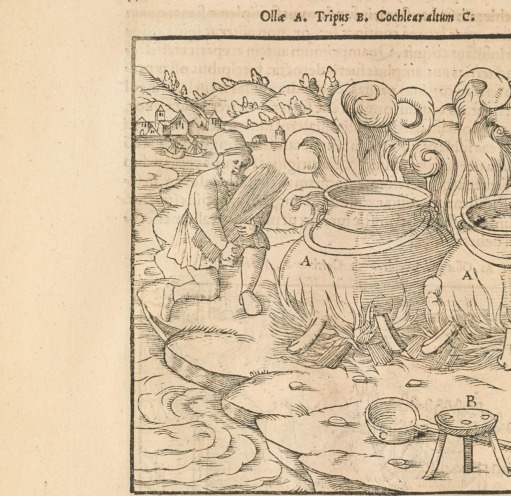 An illustration from Georgii Agricolae De re metallica libri XII quibus officia, instrumenta, machinae, ac omnia deni[que] ad metallicam spectantia, non modo luculentissimè describuntur, sed & per effigies, suis locis insertas, adiunctis latinis, germanicis[que] appellationibus ita ob oculos ponuntur, ut clarius tradi non possint : eiusdem de animantibus subterraneis liber, ab autore recognitus, cum indicibus diuersis, quicquid in opere tractatum est, pulchrè demonstrantibus, 1556, leaf 470