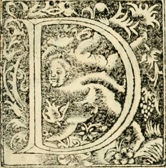 An illustration from Georgii Agricolae De re metallica libri XII. qvibus officia, instrumenta, machinae, ac omnia deni ad metallicam spectantia, non modo luculentissimè describuntur, sed & per effigies, suis locis insertas, adiunctis latinis, germanicis appellationibus ita ob oculos ponuntur, ut clarius tradi non possint. Eivsdem De animantibvs svbterraneis liber, ab autore recognitus: cum indicibus diuersis, quicqiuid in opere tractatum est, pulchré demonstrantibus, 1556, leaf 126