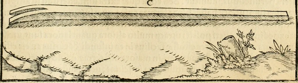 An illustration from Georgii Agricolae De re metallica libri XII. qvibus officia, instrumenta, machinae, ac omnia deni ad metallicam spectantia, non modo luculentissimè describuntur, sed & per effigies, suis locis insertas, adiunctis latinis, germanicis appellationibus ita ob oculos ponuntur, ut clarius tradi non possint. Eivsdem De animantibvs svbterraneis liber, ab autore recognitus: cum indicibus diuersis, quicqiuid in opere tractatum est, pulchré demonstrantibus, 1556, leaf 128