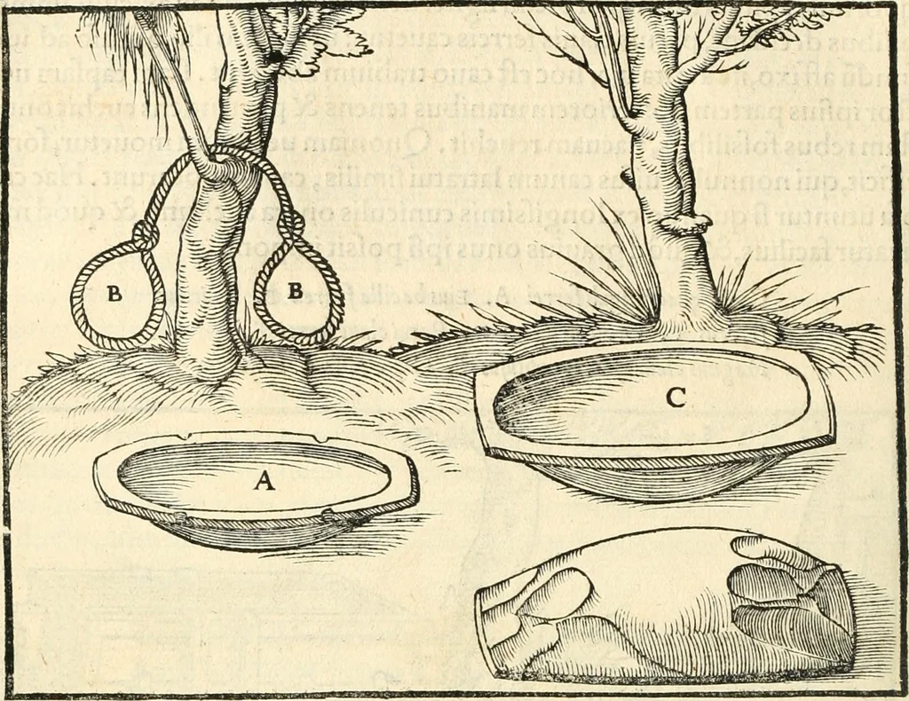 An illustration from Georgii Agricolae De re metallica libri XII. qvibus officia, instrumenta, machinae, ac omnia deni ad metallicam spectantia, non modo luculentissimè describuntur, sed & per effigies, suis locis insertas, adiunctis latinis, germanicis appellationibus ita ob oculos ponuntur, ut clarius tradi non possint. Eivsdem De animantibvs svbterraneis liber, ab autore recognitus: cum indicibus diuersis, quicqiuid in opere tractatum est, pulchré demonstrantibus, 1556, leaf 133