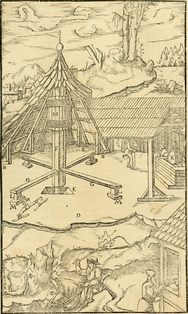 An illustration from Georgii Agricolae De re metallica libri XII. qvibus officia, instrumenta, machinae, ac omnia deni ad metallicam spectantia, non modo luculentissimè describuntur, sed & per effigies, suis locis insertas, adiunctis latinis, germanicis appellationibus ita ob oculos ponuntur, ut clarius tradi non possint. Eivsdem De animantibvs svbterraneis liber, ab autore recognitus: cum indicibus diuersis, quicqiuid in opere tractatum est, pulchré demonstrantibus, 1556, leaf 142