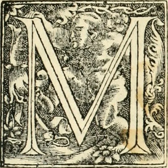 An illustration from Georgii Agricolae De re metallica libri XII. qvibus officia, instrumenta, machinae, ac omnia deni ad metallicam spectantia, non modo luculentissimè describuntur, sed & per effigies, suis locis insertas, adiunctis latinis, germanicis appellationibus ita ob oculos ponuntur, ut clarius tradi non possint. Eivsdem De animantibvs svbterraneis liber, ab autore recognitus: cum indicibus diuersis, quicqiuid in opere tractatum est, pulchré demonstrantibus, 1556, leaf 16
