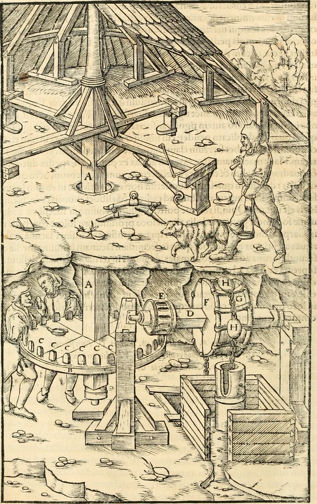 An illustration from Georgii Agricolae De re metallica libri XII. qvibus officia, instrumenta, machinae, ac omnia deni ad metallicam spectantia, non modo luculentissimè describuntur, sed & per effigies, suis locis insertas, adiunctis latinis, germanicis appellationibus ita ob oculos ponuntur, ut clarius tradi non possint. Eivsdem De animantibvs svbterraneis liber, ab autore recognitus: cum indicibus diuersis, quicqiuid in opere tractatum est, pulchré demonstrantibus, 1556, leaf 171