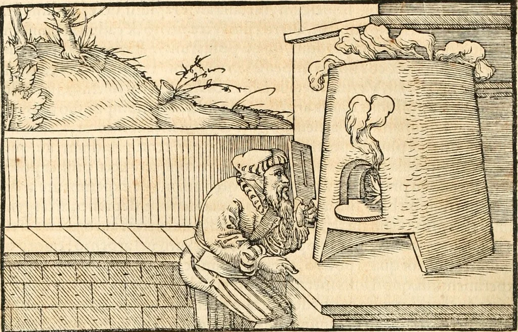 An illustration from Georgii Agricolae De re metallica libri XII. qvibus officia, instrumenta, machinae, ac omnia deni ad metallicam spectantia, non modo luculentissimè describuntur, sed & per effigies, suis locis insertas, adiunctis latinis, germanicis appellationibus ita ob oculos ponuntur, ut clarius tradi non possint. Eivsdem De animantibvs svbterraneis liber, ab autore recognitus: cum indicibus diuersis, quicqiuid in opere tractatum est, pulchré demonstrantibus, 1556, leaf 195