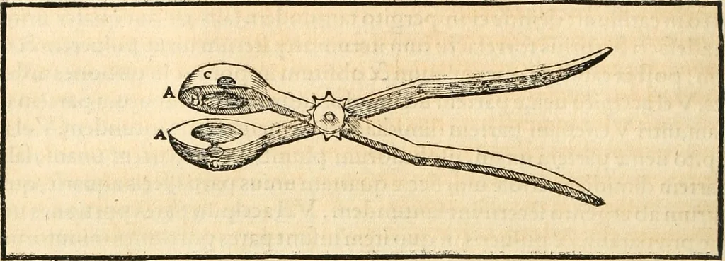 An illustration from Georgii Agricolae De re metallica libri XII. qvibus officia, instrumenta, machinae, ac omnia deni ad metallicam spectantia, non modo luculentissimè describuntur, sed & per effigies, suis locis insertas, adiunctis latinis, germanicis appellationibus ita ob oculos ponuntur, ut clarius tradi non possint. Eivsdem De animantibvs svbterraneis liber, ab autore recognitus: cum indicibus diuersis, quicqiuid in opere tractatum est, pulchré demonstrantibus, 1556, leaf 207
