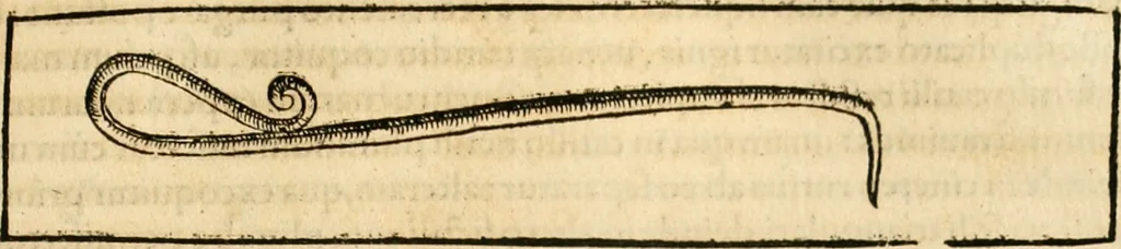 An illustration from Georgii Agricolae De re metallica libri XII. qvibus officia, instrumenta, machinae, ac omnia deni ad metallicam spectantia, non modo luculentissimè describuntur, sed & per effigies, suis locis insertas, adiunctis latinis, germanicis appellationibus ita ob oculos ponuntur, ut clarius tradi non possint. Eivsdem De animantibvs svbterraneis liber, ab autore recognitus: cum indicibus diuersis, quicqiuid in opere tractatum est, pulchré demonstrantibus, 1556, leaf 208