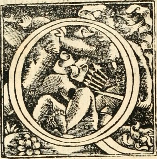 An illustration from Georgii Agricolae De re metallica libri XII. qvibus officia, instrumenta, machinae, ac omnia deni ad metallicam spectantia, non modo luculentissimè describuntur, sed & per effigies, suis locis insertas, adiunctis latinis, germanicis appellationibus ita ob oculos ponuntur, ut clarius tradi non possint. Eivsdem De animantibvs svbterraneis liber, ab autore recognitus: cum indicibus diuersis, quicqiuid in opere tractatum est, pulchré demonstrantibus, 1556, leaf 227