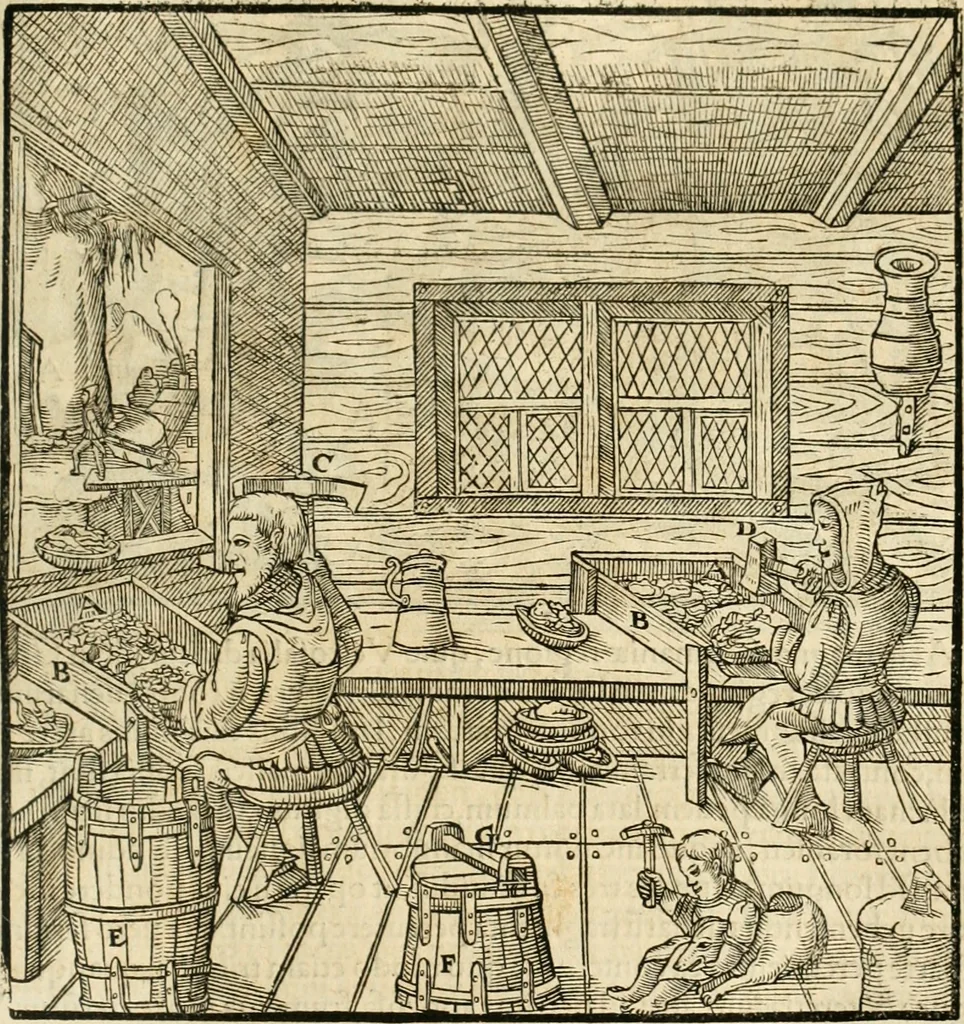 An illustration from Georgii Agricolae De re metallica libri XII. qvibus officia, instrumenta, machinae, ac omnia deni ad metallicam spectantia, non modo luculentissimè describuntur, sed & per effigies, suis locis insertas, adiunctis latinis, germanicis appellationibus ita ob oculos ponuntur, ut clarius tradi non possint. Eivsdem De animantibvs svbterraneis liber, ab autore recognitus: cum indicibus diuersis, quicqiuid in opere tractatum est, pulchré demonstrantibus, 1556, leaf 230