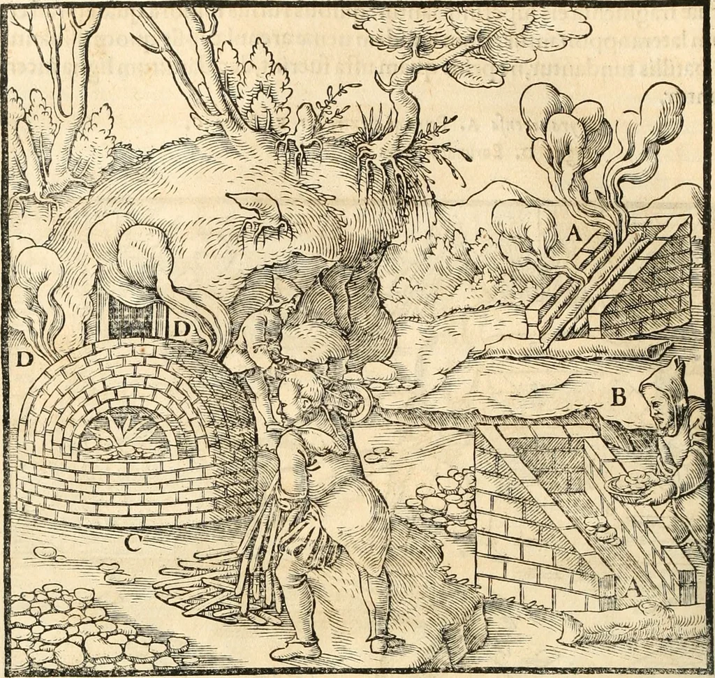 An illustration from Georgii Agricolae De re metallica libri XII. qvibus officia, instrumenta, machinae, ac omnia deni ad metallicam spectantia, non modo luculentissimè describuntur, sed & per effigies, suis locis insertas, adiunctis latinis, germanicis appellationibus ita ob oculos ponuntur, ut clarius tradi non possint. Eivsdem De animantibvs svbterraneis liber, ab autore recognitus: cum indicibus diuersis, quicqiuid in opere tractatum est, pulchré demonstrantibus, 1556, leaf 235