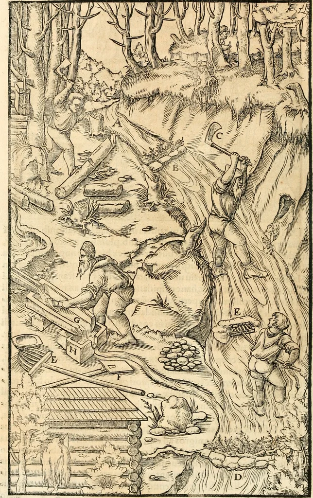 An illustration from Georgii Agricolae De re metallica libri XII. qvibus officia, instrumenta, machinae, ac omnia deni ad metallicam spectantia, non modo luculentissimè describuntur, sed & per effigies, suis locis insertas, adiunctis latinis, germanicis appellationibus ita ob oculos ponuntur, ut clarius tradi non possint. Eivsdem De animantibvs svbterraneis liber, ab autore recognitus: cum indicibus diuersis, quicqiuid in opere tractatum est, pulchré demonstrantibus, 1556, leaf 289