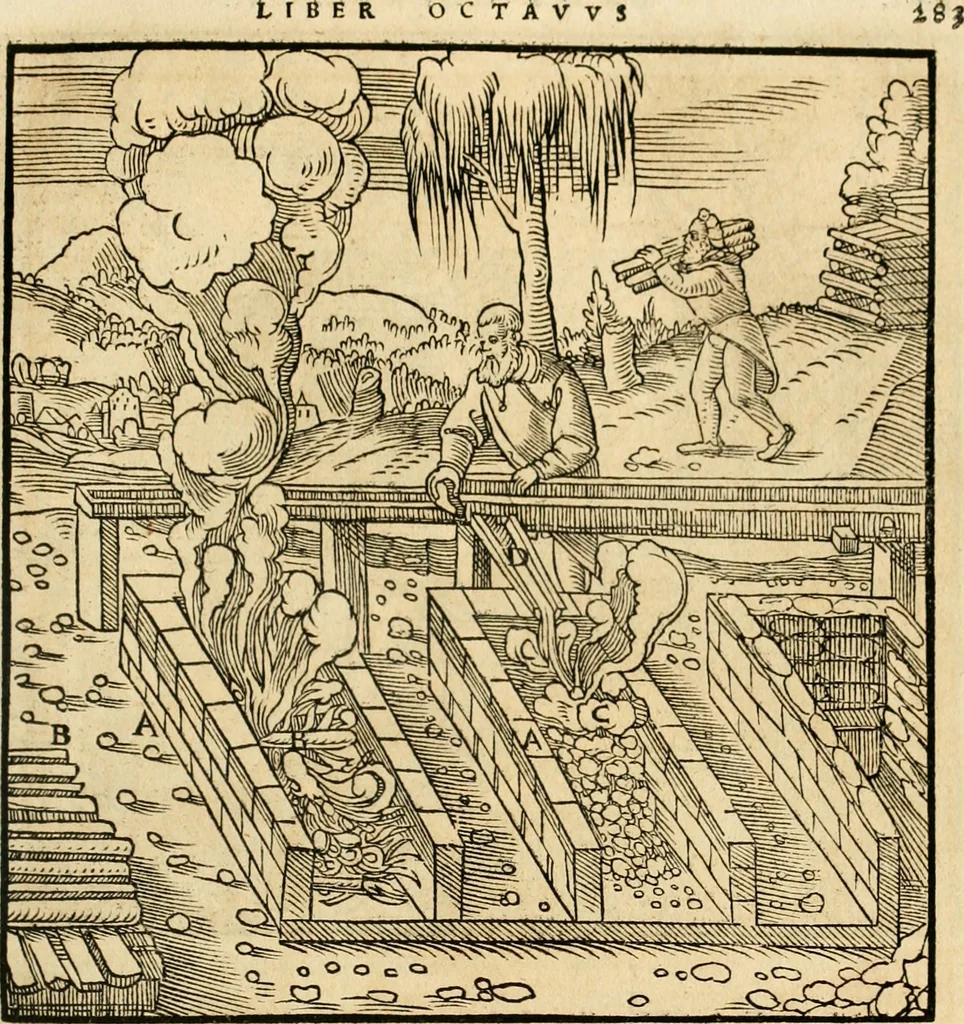 An illustration from Georgii Agricolae De re metallica libri XII. qvibus officia, instrumenta, machinae, ac omnia deni ad metallicam spectantia, non modo luculentissimè describuntur, sed & per effigies, suis locis insertas, adiunctis latinis, germanicis appellationibus ita ob oculos ponuntur, ut clarius tradi non possint. Eivsdem De animantibvs svbterraneis liber, ab autore recognitus: cum indicibus diuersis, quicqiuid in opere tractatum est, pulchré demonstrantibus, 1556, leaf 302
