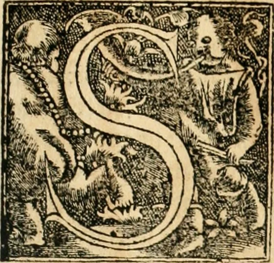 An illustration from Georgii Agricolae De re metallica libri XII. qvibus officia, instrumenta, machinae, ac omnia deni ad metallicam spectantia, non modo luculentissimè describuntur, sed & per effigies, suis locis insertas, adiunctis latinis, germanicis appellationibus ita ob oculos ponuntur, ut clarius tradi non possint. Eivsdem De animantibvs svbterraneis liber, ab autore recognitus: cum indicibus diuersis, quicqiuid in opere tractatum est, pulchré demonstrantibus, 1556, leaf 304