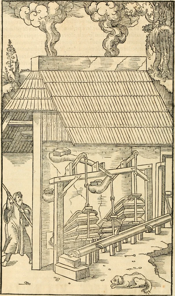An illustration from Georgii Agricolae De re metallica libri XII. qvibus officia, instrumenta, machinae, ac omnia deni ad metallicam spectantia, non modo luculentissimè describuntur, sed & per effigies, suis locis insertas, adiunctis latinis, germanicis appellationibus ita ob oculos ponuntur, ut clarius tradi non possint. Eivsdem De animantibvs svbterraneis liber, ab autore recognitus: cum indicibus diuersis, quicqiuid in opere tractatum est, pulchré demonstrantibus, 1556, leaf 309