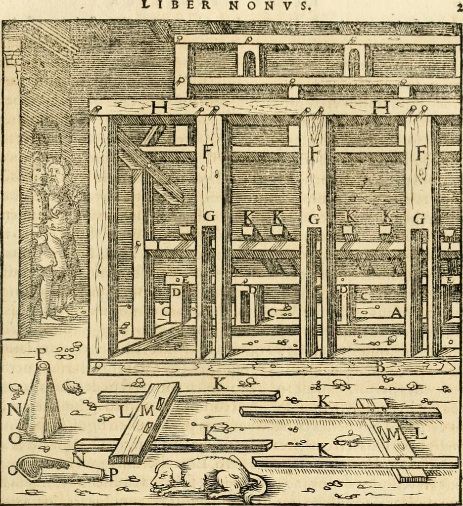 An illustration from Georgii Agricolae De re metallica libri XII. qvibus officia, instrumenta, machinae, ac omnia deni ad metallicam spectantia, non modo luculentissimè describuntur, sed & per effigies, suis locis insertas, adiunctis latinis, germanicis appellationibus ita ob oculos ponuntur, ut clarius tradi non possint. Eivsdem De animantibvs svbterraneis liber, ab autore recognitus: cum indicibus diuersis, quicqiuid in opere tractatum est, pulchré demonstrantibus, 1556, leaf 318