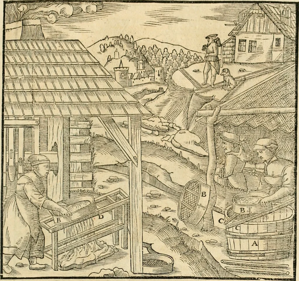 An illustration from Georgii Agricolae De re metallica libri XII. qvibus officia, instrumenta, machinae, ac omnia deni ad metallicam spectantia, non modo luculentissimè describuntur, sed & per effigies, suis locis insertas, adiunctis latinis, germanicis appellationibus ita ob oculos ponuntur, ut clarius tradi non possint. Eivsdem De animantibvs svbterraneis liber, ab autore recognitus: cum indicibus diuersis, quicqiuid in opere tractatum est, pulchré demonstrantibus, 1556, leaf 324