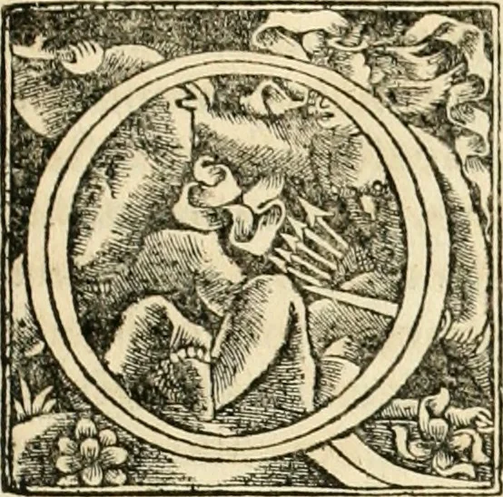 An illustration from Georgii Agricolae De re metallica libri XII. qvibus officia, instrumenta, machinae, ac omnia deni ad metallicam spectantia, non modo luculentissimè describuntur, sed & per effigies, suis locis insertas, adiunctis latinis, germanicis appellationibus ita ob oculos ponuntur, ut clarius tradi non possint. Eivsdem De animantibvs svbterraneis liber, ab autore recognitus: cum indicibus diuersis, quicqiuid in opere tractatum est, pulchré demonstrantibus, 1556, leaf 34