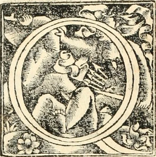 An illustration from Georgii Agricolae De re metallica libri XII. qvibus officia, instrumenta, machinae, ac omnia deni ad metallicam spectantia, non modo luculentissimè describuntur, sed & per effigies, suis locis insertas, adiunctis latinis, germanicis appellationibus ita ob oculos ponuntur, ut clarius tradi non possint. Eivsdem De animantibvs svbterraneis liber, ab autore recognitus: cum indicibus diuersis, quicqiuid in opere tractatum est, pulchré demonstrantibus, 1556, leaf 373
